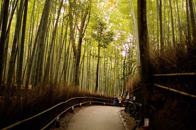 Arashiyama Bamboo Forest E-Biking Tour - Starting Point in Central Kyoto, and How the Timing Shapes the Day