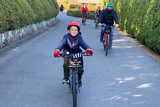 Arashiyama Bamboo Forest Family Bike Tour ( Infants & Kids ) - The Afternoon Route: Monkey Park to Bamboo, With Play Time Included