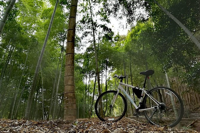 Arashiyama Bamboo Forest & Hidden Gems Bike Tour (Early Bird) - Togetsukyo Bridge: Classic Views, Short and Sweet