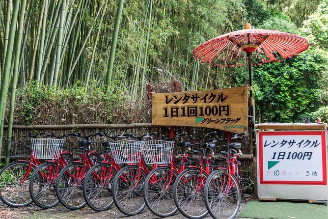 Arashiyama from Kyoto: Private & Personalized with a Local Guide - Otagi Nenbutsu-ji’s 1,200 rakan statues, and the fun kind of weird