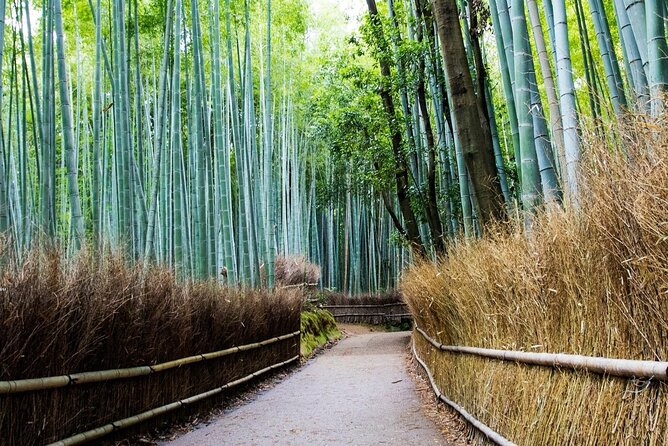 Arashiyama from Kyoto: Private & Personalized with a Local Guide - Daikaku-ji and Okochi Sanso Villa: imperial roots and a pond you’ll remember