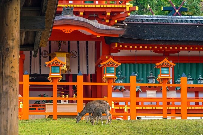 Arashiyama & Nara Highlights: One-Day Private Tour Adventure - Todaiji Temple: Great Buddha Hall Power in About an Hour