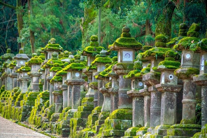 Arashiyama & Nara Highlights: One-Day Private Tour Adventure - Kasuga Grand Shrine: Lantern Atmosphere in a Compact Stop