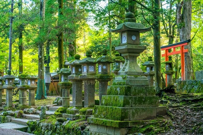 Arashiyama & Nara Highlights: One-Day Private Tour Adventure - Price and Logistics: What $490 Covers, and What to Budget for