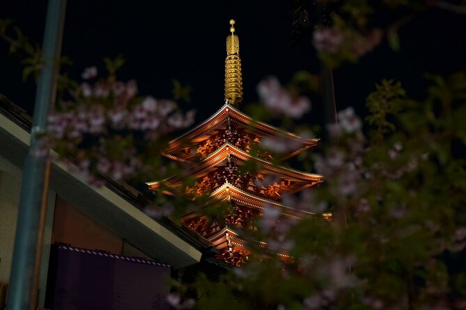 Asakusa Night Evening Walking Tour with English-Speaking Guide - Lantern-Light Asakusa: why night changes everything