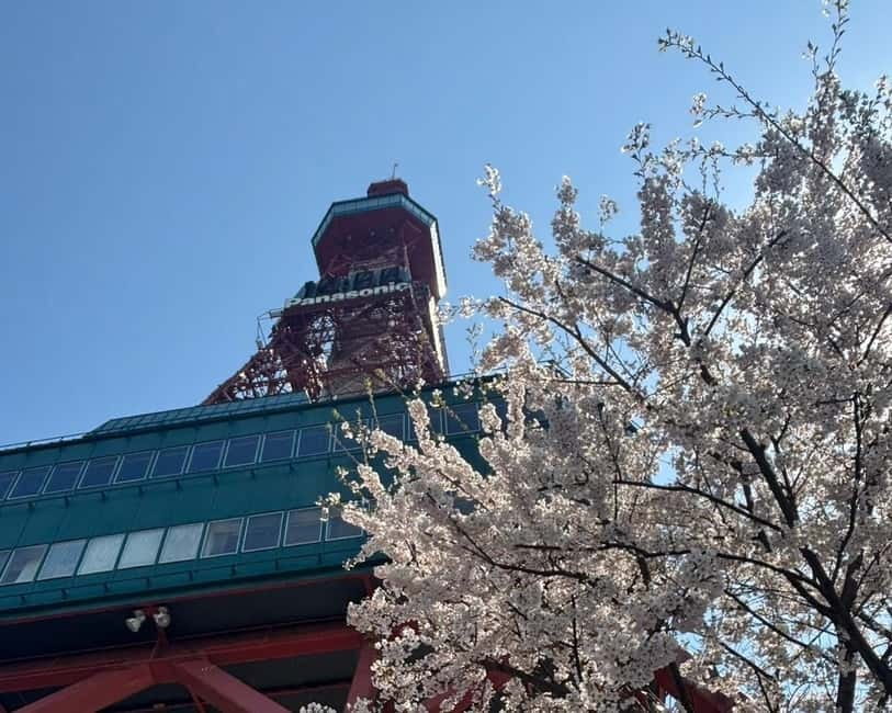Authentic Sapporo: Nijo Market Seafood Lunch & History Tour - Nijo Market lunch, sushi or donburi at the Citizens’ Kitchen