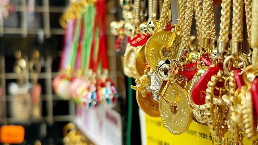Awesome Private Tour: Tsukiji, Asakusa, Shinjuku, Shibuya - Key things that make this tour work well