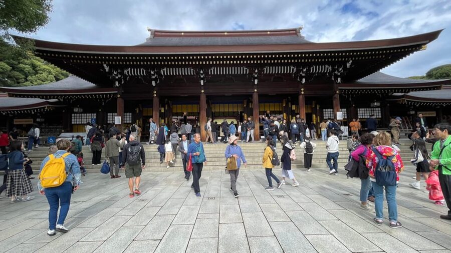 Awesome Private Tour: Tsukiji, Asakusa, Shinjuku, Shibuya - Tokyo Skytree free time: why the itinerary gives you breathing space