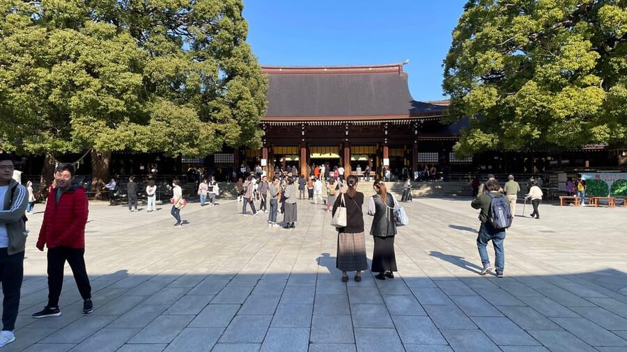 Awesome Private Tour: Tsukiji, Asakusa, Shinjuku, Shibuya - Shibuya Crossing plus Shinjuku nightlife edges, Omoide Yokocho and Golden Gai