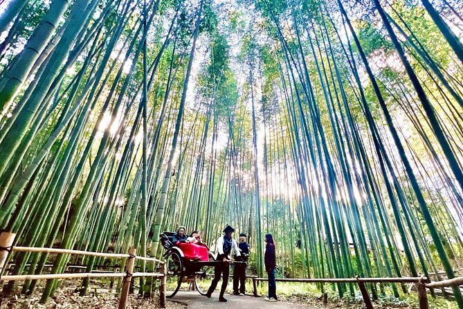 Bamboo Grove Temple and Garden Views Tour - Why Arashiyama Nature Feels Better Than a Hurry-Up Kyoto Checklist