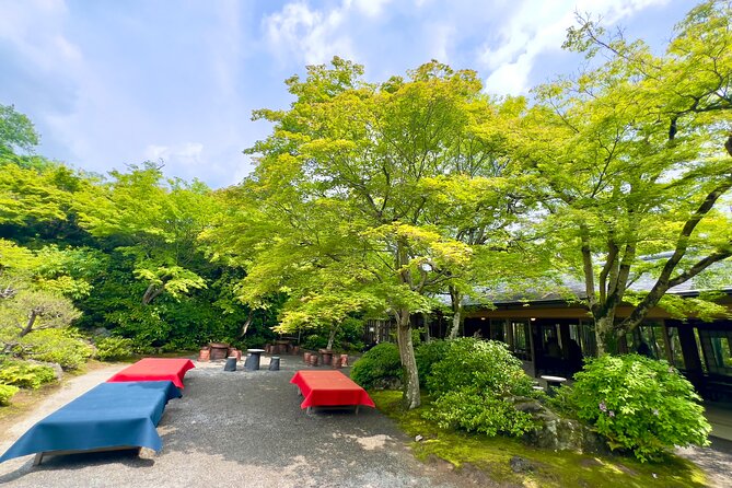 Bamboo Grove Temple and Garden Views Tour - Arashiyama Kimono Forest, 600 Pillars, and Fast Photo Wins