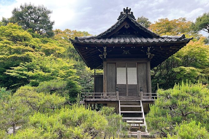 Bamboo Grove Temple and Garden Views Tour - Iwatayama Monkey Park: The Hike, the Wild Macaques, and the Best “Wow” Moment