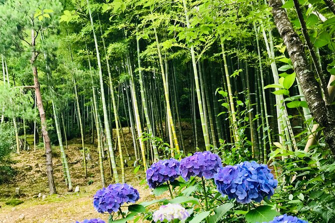 Bamboo LED Lantern Making Experience in Kyoto Arashiyama - Price and Value: Is $79.26 Worth It?