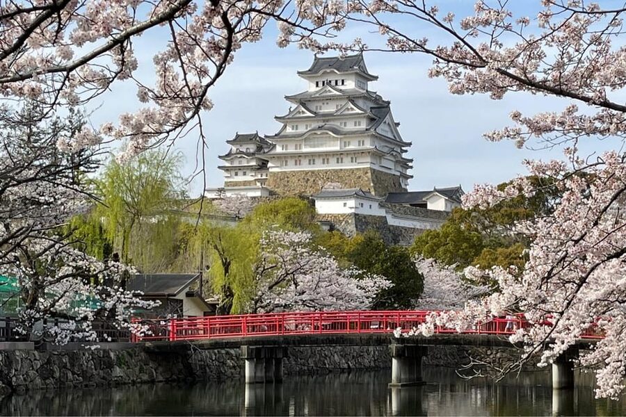 Best of Himeji Castle: 3hr Tour with Licensed Guide - Skip-the-Line Entry: Why That Half-Hour Can Matter