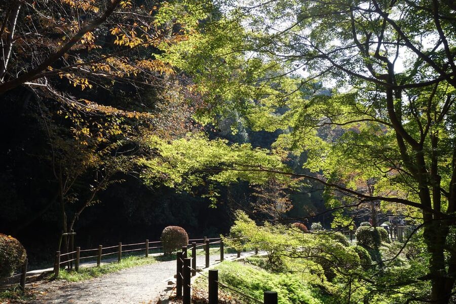 Best of Kyoto: Ginkakuji & Path of Philosophy E-Bike Tour - E-Bikes, Helmets, and the Real-World Comfort Factor