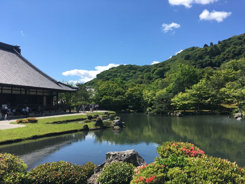 Best of Kyoto: Red Gates of Fushimi Inari & Kiyomizu Temple - Practicalities that affect your comfort: meeting point, walking pace, and what to wear