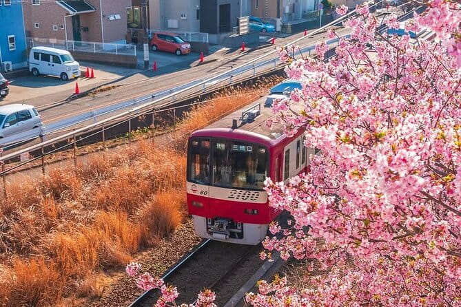 Best of Tokyo Private Tour English Driver &Customizable Itinerary - Meiji Jingu and Takeshita Street, shrine manners then street style
