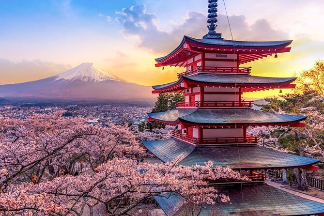 Best of Tokyo Private Tour English Driver &Customizable Itinerary - Shibuya Scramble Crossing, short visit at peak drama