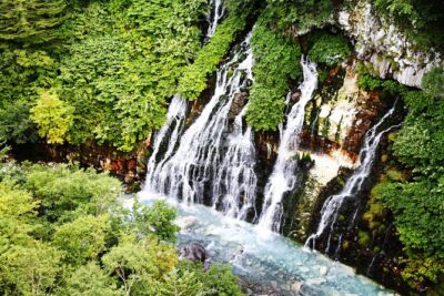 [Biei/Furano] One-day sightseeing by private car!