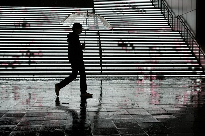 Blade Runner photo workshop in Shibuya with Laurence Bouchard - Who this workshop suits best
