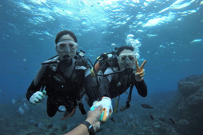 Blue Cave Area Experience Diving!Free feeding & photo images Chinese guide available!1 group with a dedicated instructor - Key Highlights Worth Knowing Before You Go