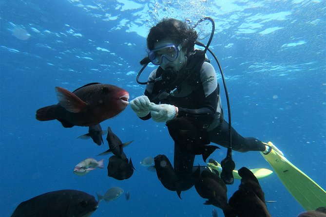 Blue Cave Area Experience Diving!Free feeding & photo images Chinese guide available!1 group with a dedicated instructor - Stop 1, Blue Cave: When It’s Open, It’s Magic