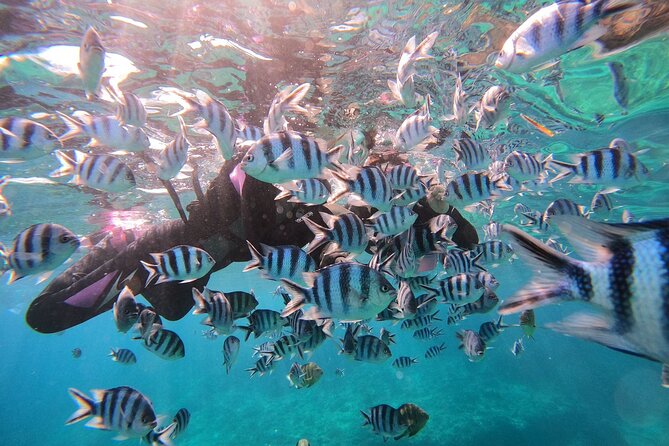Blue Cave Private Snorkeling with Photoshoot - What to bring, and what the tour handles
