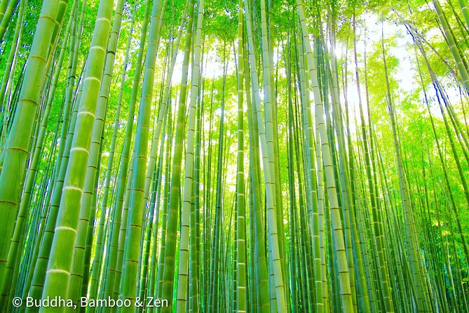 Buddha, Bamboo & Zen - Bespoke Kamakura Private Walking Tours - Starting at Kamakura Station, Then Settling Into a Comfortable Flow