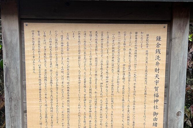 Chair Seat Guaranteed SUMO Practice +Photo +Culture Option - Step-by-step itinerary: what happens at each stop
