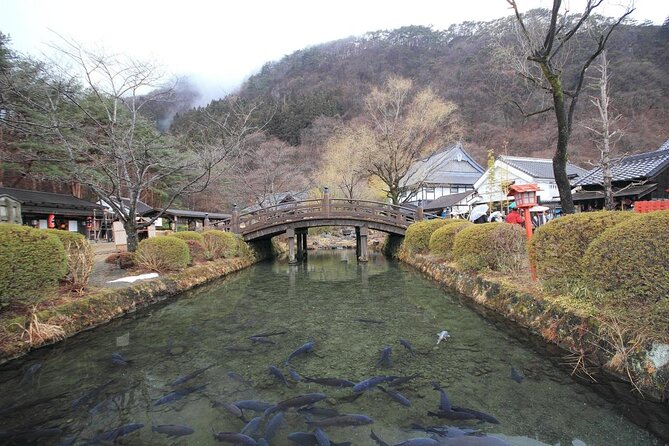 Chartered Private Tour - Tokyo to Nikko, Toshogu, Edo Wonderland - Beyond Toshogu: Tamozawa Imperial Villa and Seasonal Stops You Should Choose Carefully