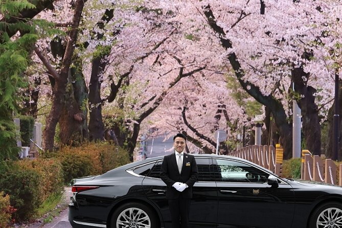 Cherry Blossom Private Tour - Key highlights that make this tour worth your time