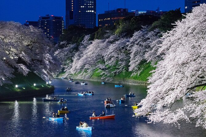 Cherry Blossom Private Tour - Roppongi District: Hill Views and a Different Cherry Atmosphere