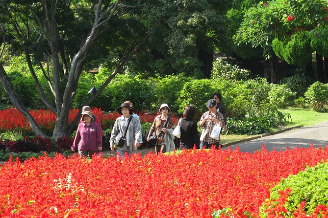Colors of Japan, Fukuoka Nokonoshima Island Park & Wagyu BBQ - Key points to know before you go