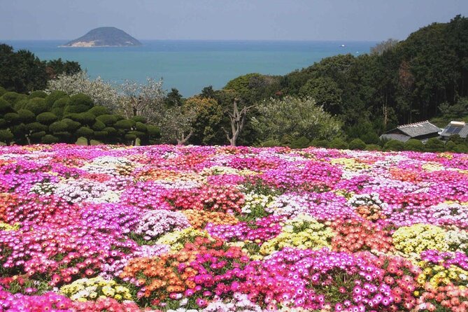 Colors of Japan, Fukuoka Nokonoshima Island Park & Wagyu BBQ - A half-day reset, with pickup and a 10:00 start