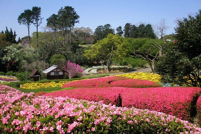 Colors of Japan, Fukuoka Nokonoshima Island Park & Wagyu BBQ - Noko Island Park at your pace, with a ready-made route
