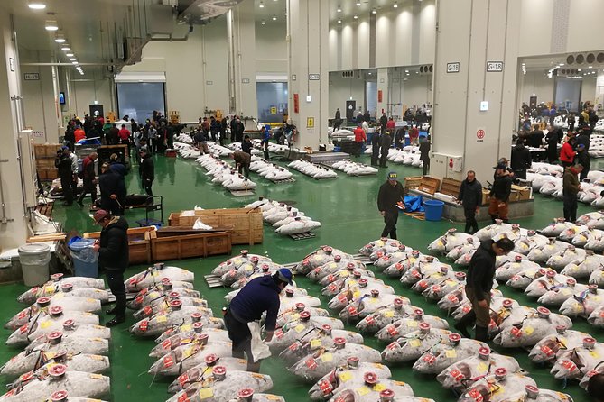 Complete Tuna Auction & Toyosu Fish Market Tour - Key highlights before you go