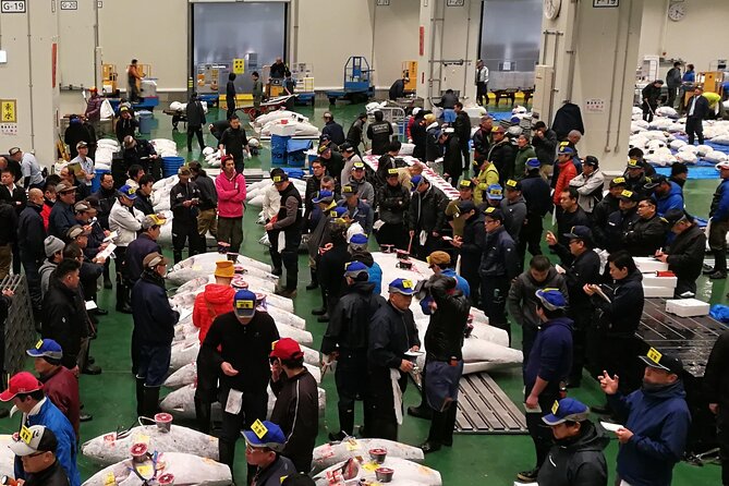 Complete Tuna Auction & Toyosu Fish Market Tour - Why this Toyosu tuna auction tour beats wandering on your own