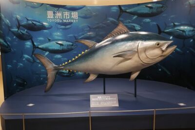 Complete Tuna Auction & Toyosu Fish Market Tour