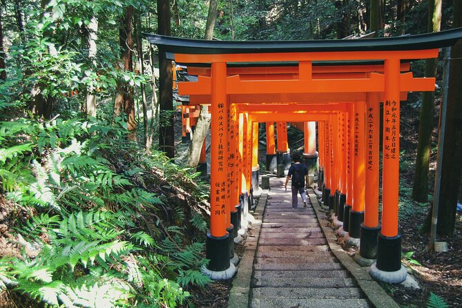 Crowd-Free Kyoto: Fushimi Inari, Nijo Castle & Kinkaku-ji - Price and value: what $91.96 really buys you
