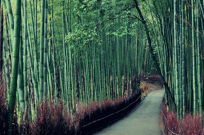 Cruise Stop-Over: Private Custom Day trip to Kyoto from Kobe Port - Imperial grounds and gardens for a slower, grounded Kyoto