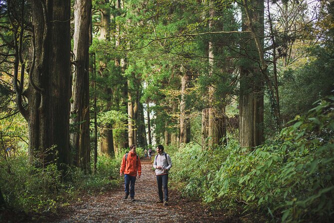 Custom Private Tour in Hakone with a Certified Local Guide - Starting at Hakone-Yumoto, and why that matters