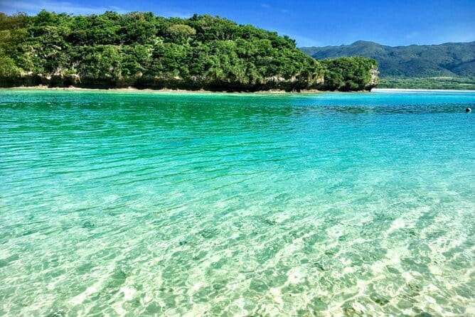 【Customizable】Ishigaki Private Tour -Up to 4 People, Flat Rate- - Price and Value: What You’re Really Paying For