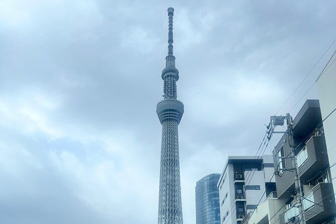 Customizable Private Tokyo Trip with an English Speaking Driver - Stop 1 and 2: Tsukiji Fish Market as Your Early-Start Breakfast