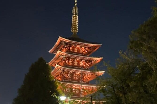 Customizable Private Tokyo Trip with an English Speaking Driver - The Flow of the Day: A Route That Works Without Rushing