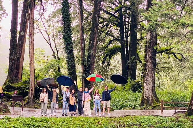 Daikoku JDM Car Meet Private Tour - Price and timing: getting value from a 4-hour private plan