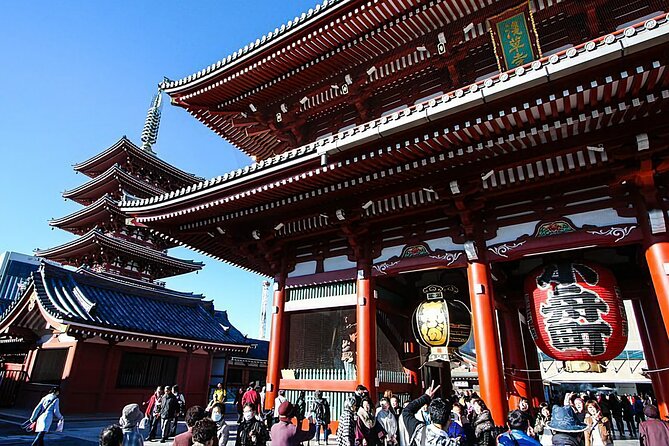 Day Private City Tour of Tokyo with English speaking driver - How the private car keeps Tokyo from eating your day