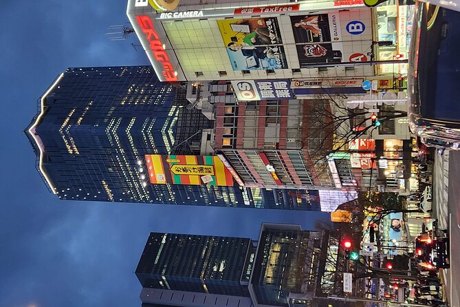 Day Private City Tour of Tokyo with English speaking driver - Customizing your day when your pace is different