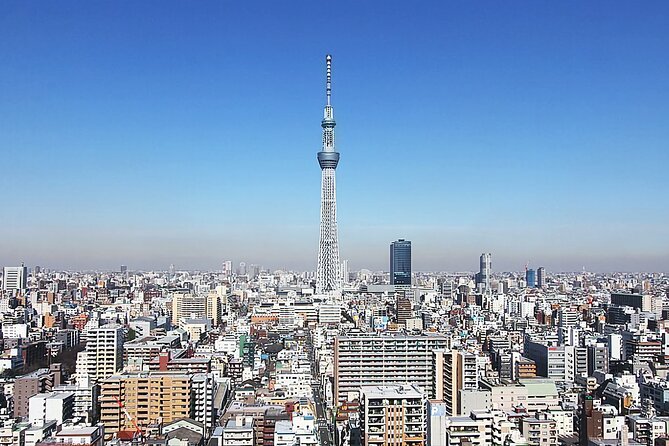 Day Private City Tour of Tokyo with English speaking driver - Price and ticket costs, the part your budget should plan
