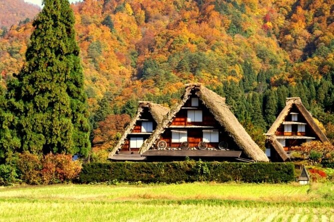 Day Trip for Shirakawago ,Takayama & gujo hachiman from Nagoya - A 12-hour three-town sampler from Nagoya