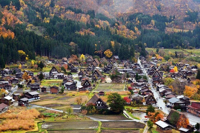 Day Trip for Shirakawago ,Takayama & gujo hachiman from Nagoya - Takayama in a short window (about 2 hours for wandering and eating)